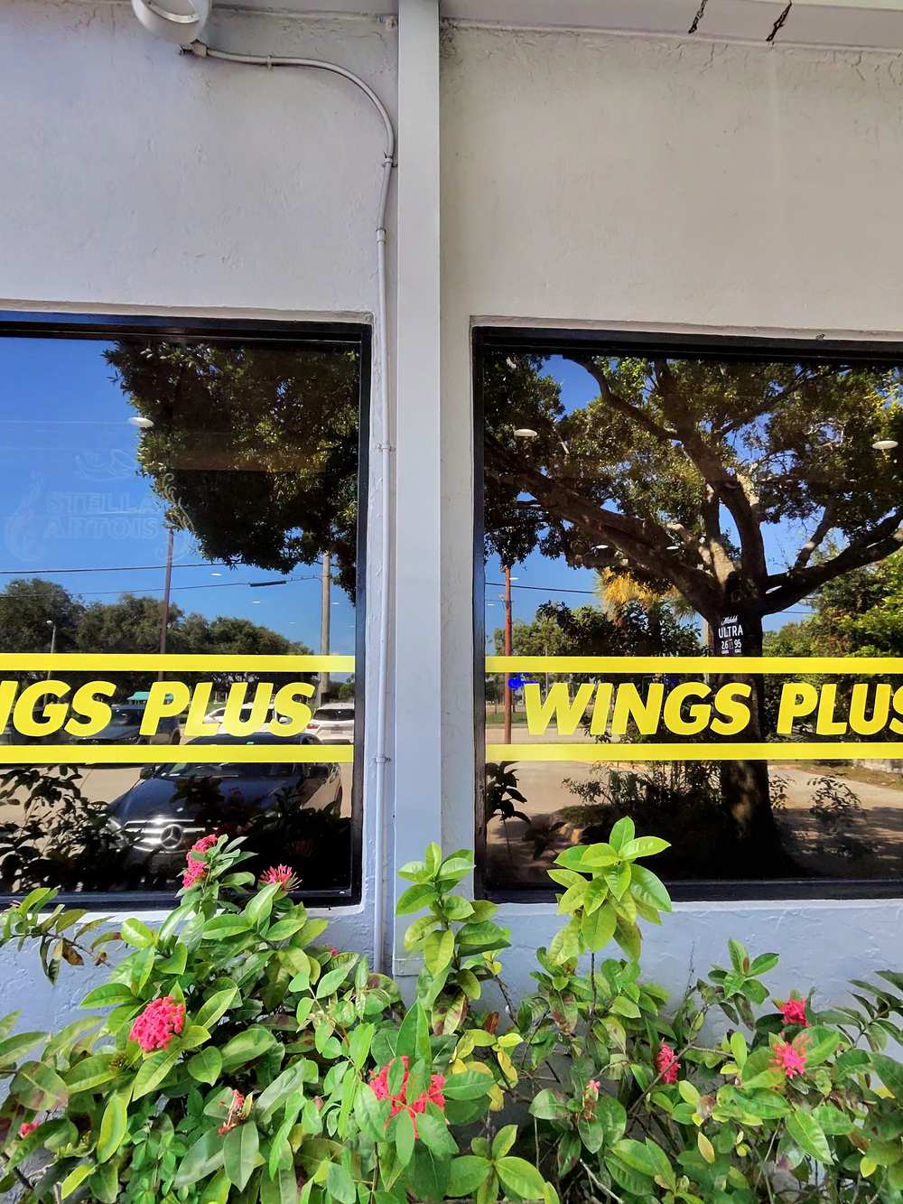 Window vinyl lettering on a storefront